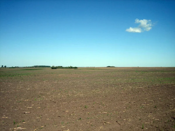 Smooth Plowed Field Fertile Soil Chernozem — Foto Stock