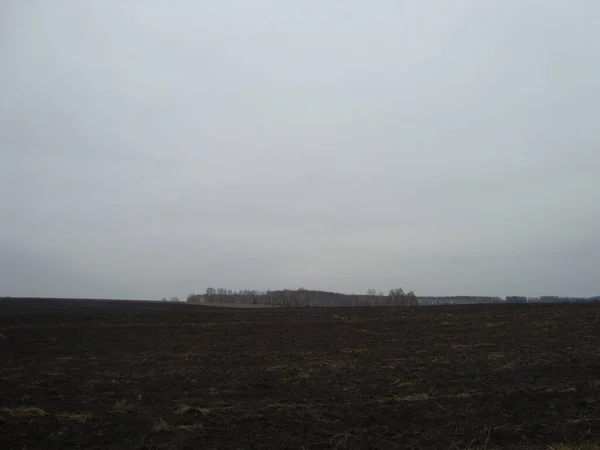 Gładkie Pole Uprawne Żyznej Gleby Chernozem — Zdjęcie stockowe