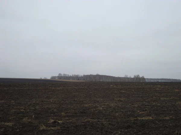 Campo Arato Liscio Terreno Fertile Chernozem — Foto Stock