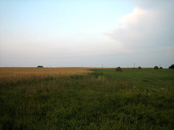 Haystacks Mown Field End Day Rays Setting Sun Wheat Ripening — Foto Stock