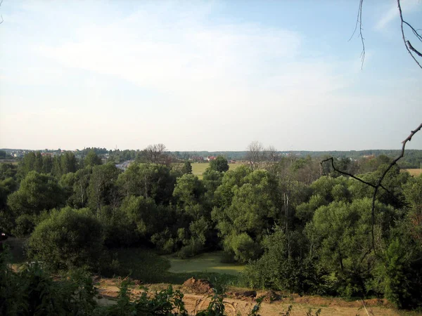 Vista Panorâmica Floresta Campo Copos Estão Espalhados Entre Glades Linha — Fotografia de Stock