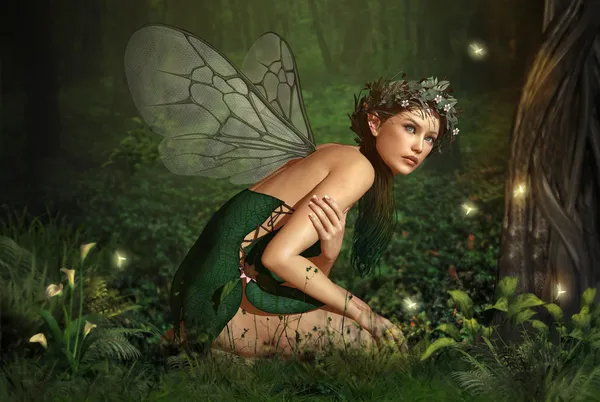 In het forest fairy — Stockfoto