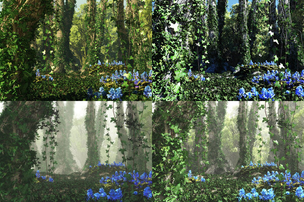 Deep Forest, 3d Computer Graphics