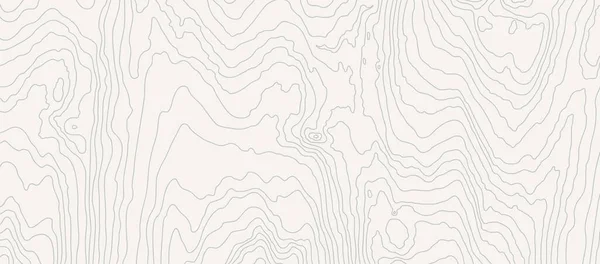 Holzweißes Wellenmuster Baumfaser Holzmaserung Textur Dichte Linien Abstrakter Topografischer Hintergrund — Stockvektor