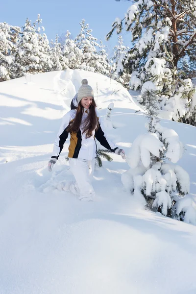 Schneebedeckter Wald — Stockfoto