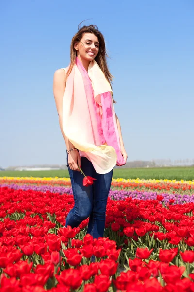 Mulher no campo de tulipa vermelha — Fotografia de Stock