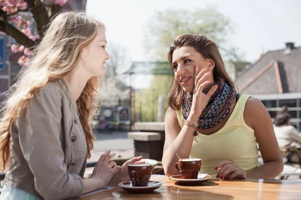 Due donne in un caffè — Foto Stock