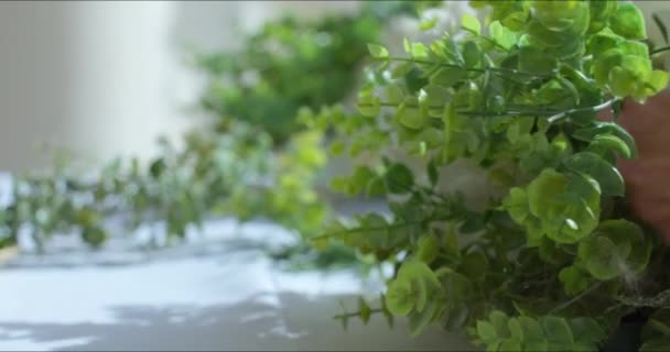 Buketter av naturliga färska blommor — Stockvideo