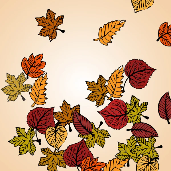 Autumn leaves background concept — Stock fotografie