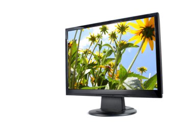 izole modern lcd monitör