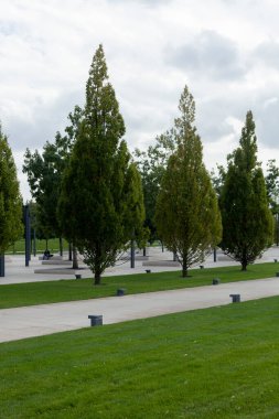 Çimenli bir parkta güzel bir sokak