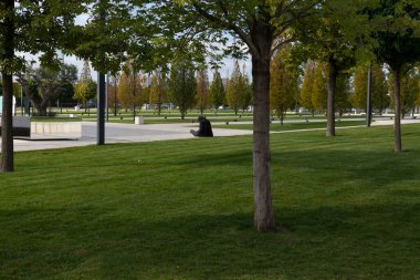 Şehir parkında tek başına oturan bir adam.