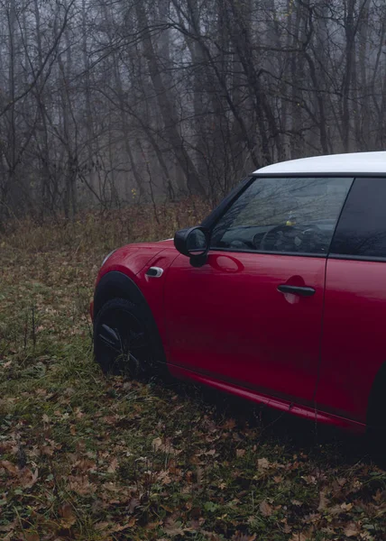 Coche Rojo Bosque Tiempo Lluvioso — Foto de Stock