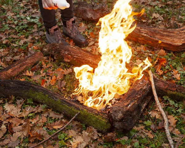 Burning Bonfire Autumn Forest — Stock Photo, Image