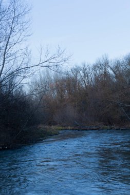 Orman nehri kış mevsiminde