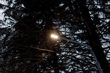 Kış parkında sokak ışıkları