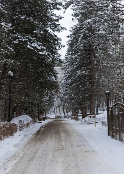 City Park Winter Snowy Weather — Photo