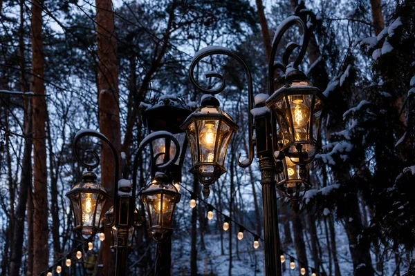 Lampadaires Couverts Neige Dans Parc Nuit — Photo