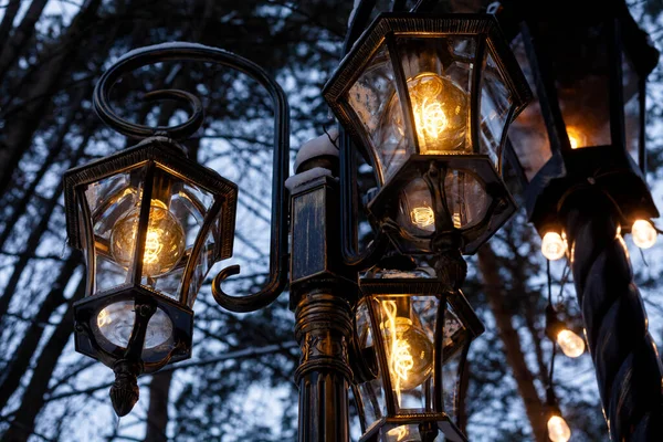 Snow Covered Street Lamps Park Night — Stockfoto