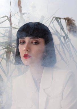 portrait of a beautiful brunette with evening make-up in the smoke