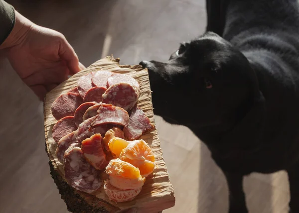 Μαύρα Σκυλιά Μυρίζουν Αλλαντικά — Φωτογραφία Αρχείου