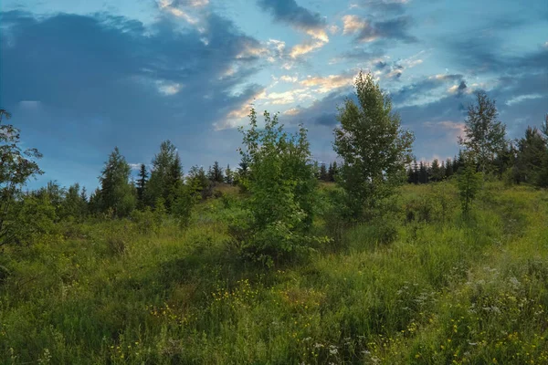 Jasné Letní Krajina Zelená Louka Les Pozadí Pozadí Krásné Modré — Stock fotografie