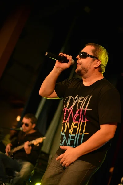 Desmod slovakian pop group cântă la concert — Fotografie, imagine de stoc
