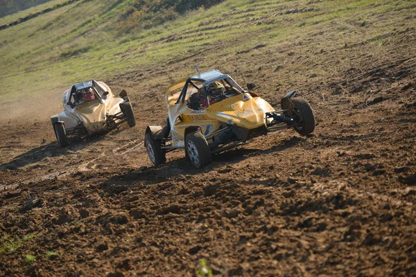 Ralli Yarışı — Stok fotoğraf