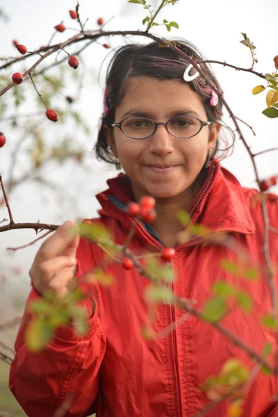 Girl picking up rose hip — Stock Photo, Image