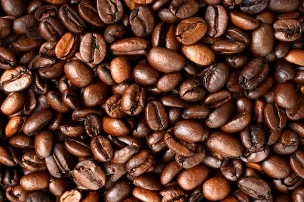 Coffee beans — Stock Photo, Image