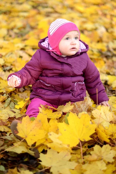 Liten bebis med höstens gren av träd — Stockfoto