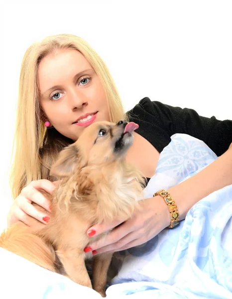 Счастливая молодая женщина лежит на кровати со своим щенком . — стоковое фото