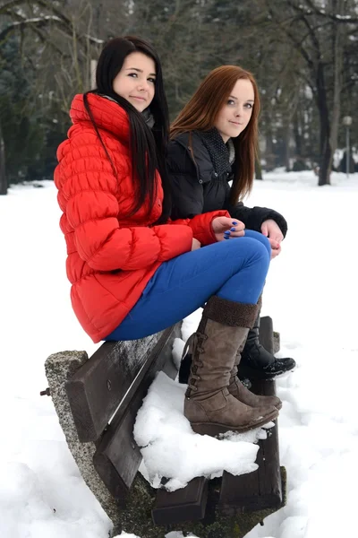 Duas meninas desfrutando da temporada de inverno — Fotografia de Stock