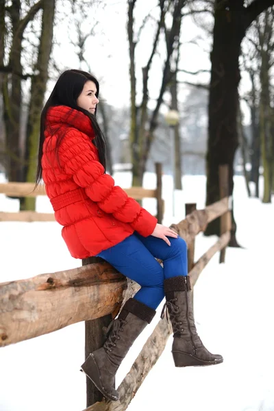 젊은 여자는 울타리 근처 — 스톡 사진