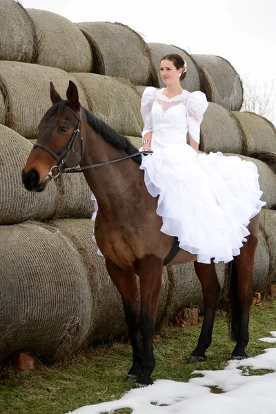 Retrato de uma bela noiva e cavalo — Fotografia de Stock