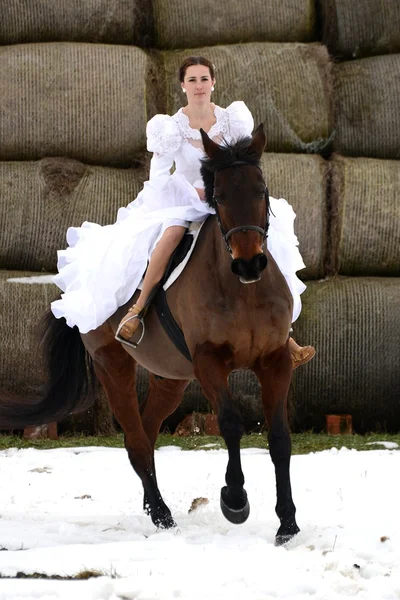 Portrait d'une belle mariée et cheval — Photo