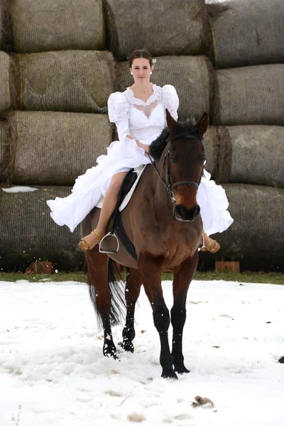 Retrato de uma bela noiva e cavalo — Fotografia de Stock