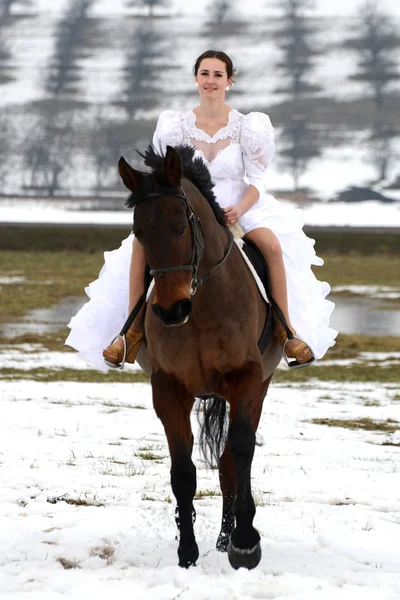 Ritratto di una bella sposa e cavallo — Foto Stock