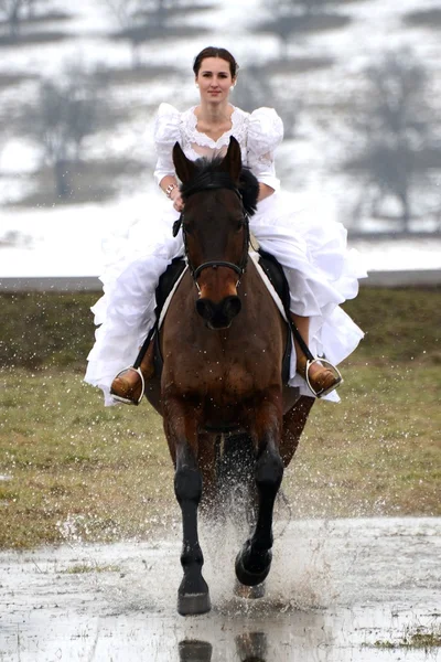 Retrato de una hermosa novia y caballo — Foto de Stock