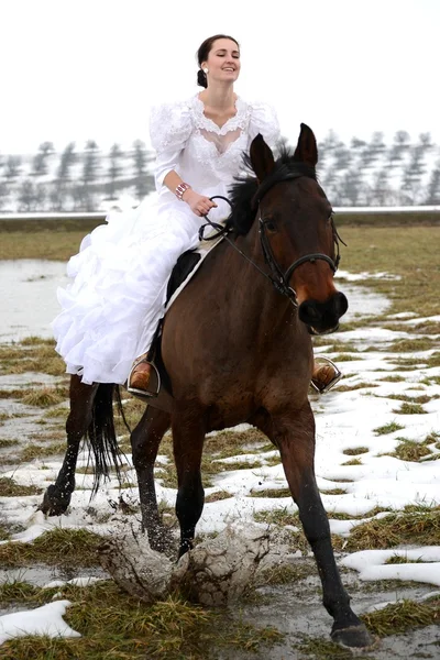 Retrato de una hermosa novia y caballo — Foto de Stock