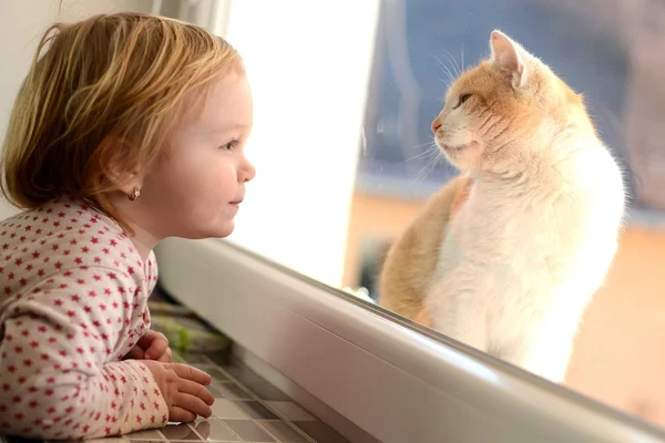 Little girl looking through a window at the cat — Stock Photo, Image