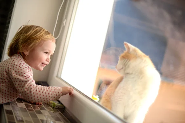 Niña mirando a través de una ventana al gato —  Fotos de Stock