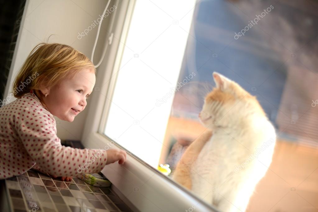 Little girl looking through a window at the cat