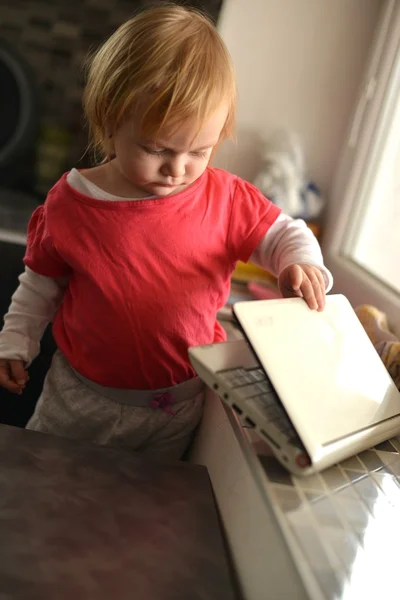 Criança bonito usando laptop — Fotografia de Stock