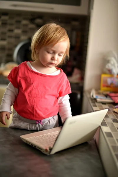 Cute child using laptop — Stock Photo, Image