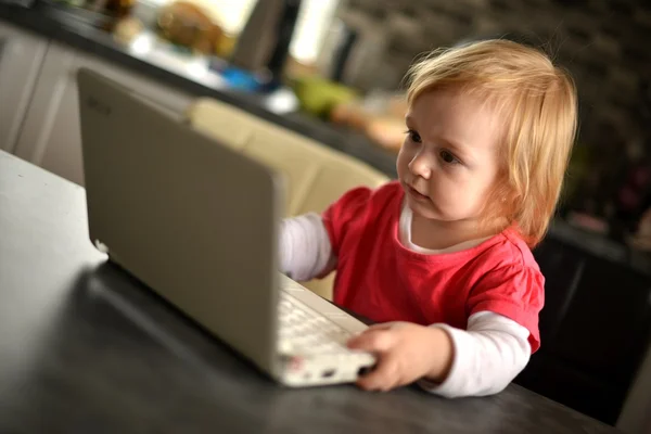 Cute child using laptop — Stock Photo, Image