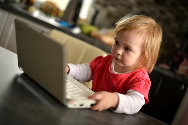 Cute child using laptop — Stock Photo, Image