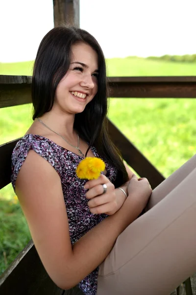 Schöne junge Frau auf dem Feld — Stockfoto