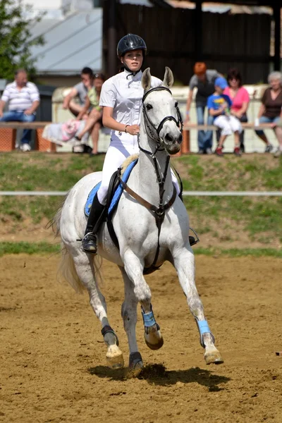 Mulher a cavalo — Fotografia de Stock