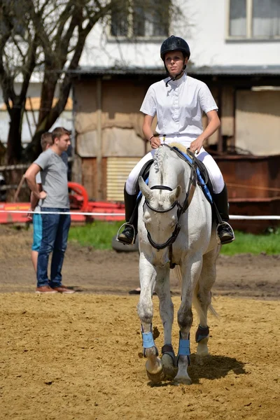 Espectáculo de salto de caballo — Foto de Stock